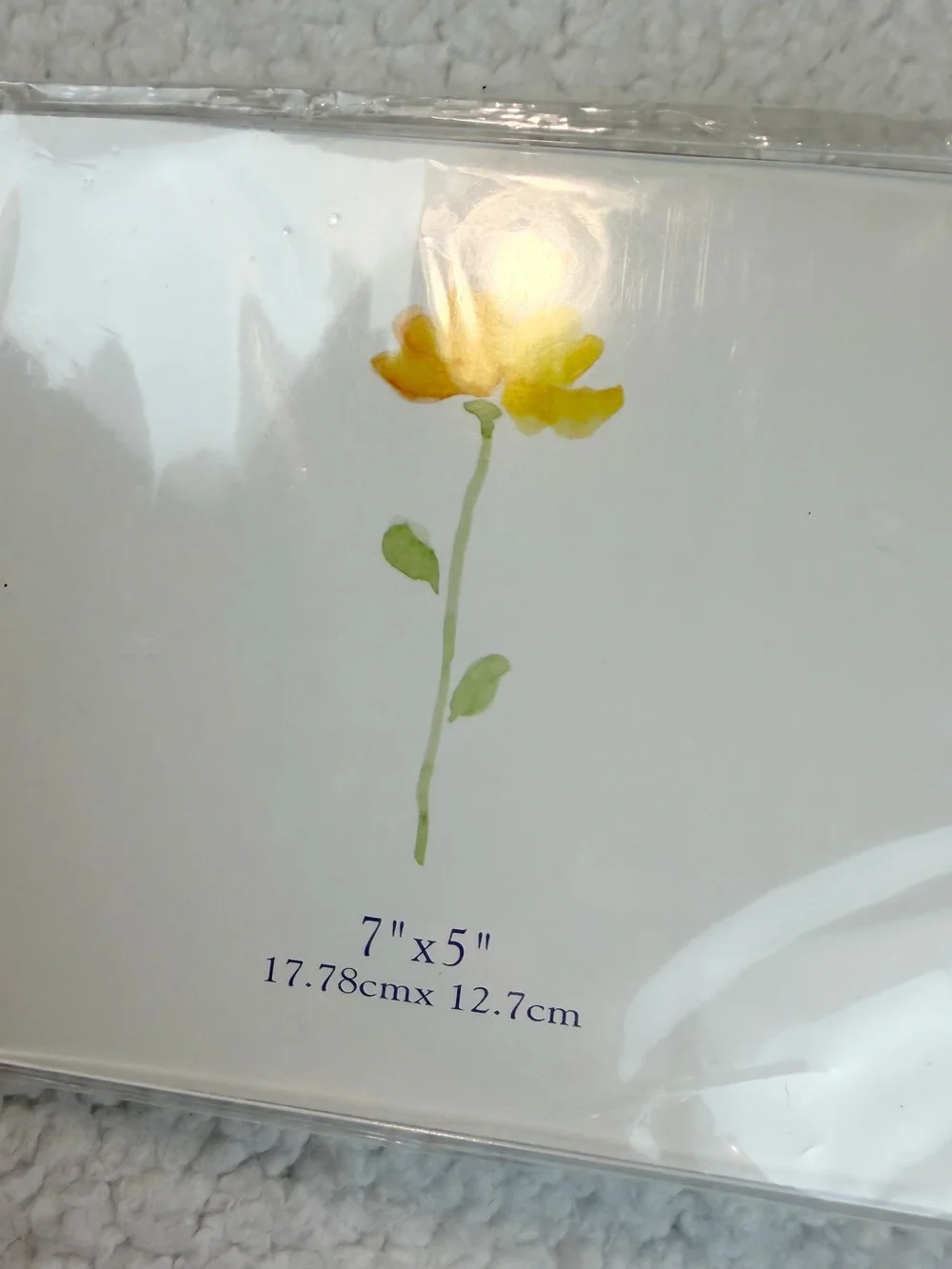 (VTG) LONG'S • Clear Acrylic Double Picture Frames, Set of 4